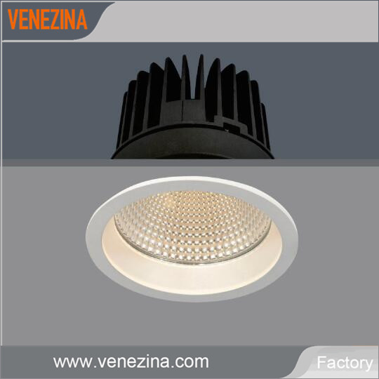 LED Down Light High Lumen LED Ceiling Light 30W COB Downlight