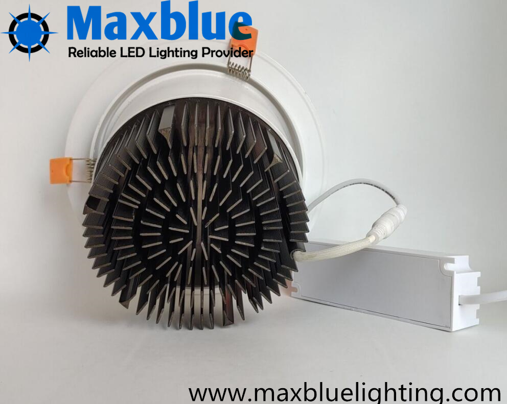 High Brightness Dimmable LED Downlight for Residential and Commercial