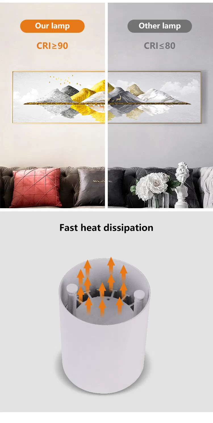 Surface-Mounted Downlight View 9