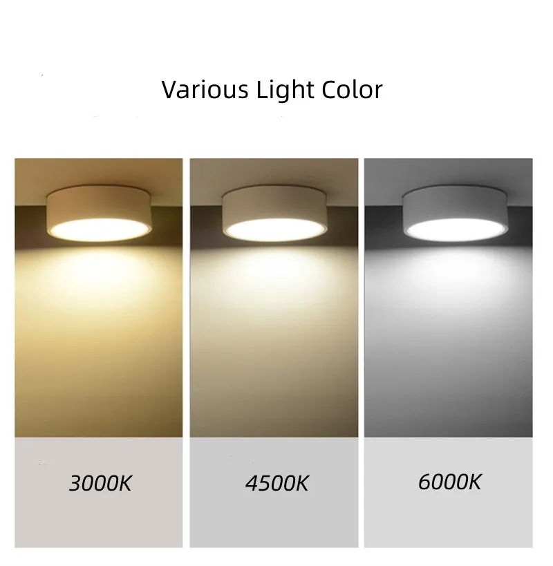 LED Downlight View 1