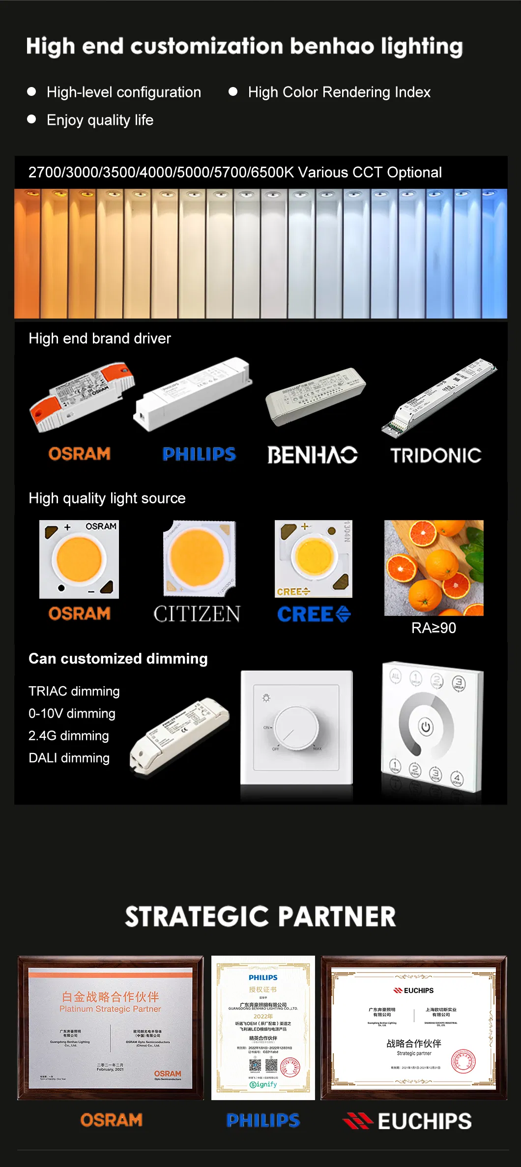 LED Downlight 5