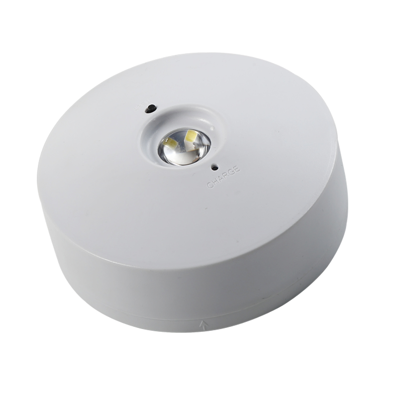 Industrial Commercial Battery Operated LED Downlights LED Emergency Downlight