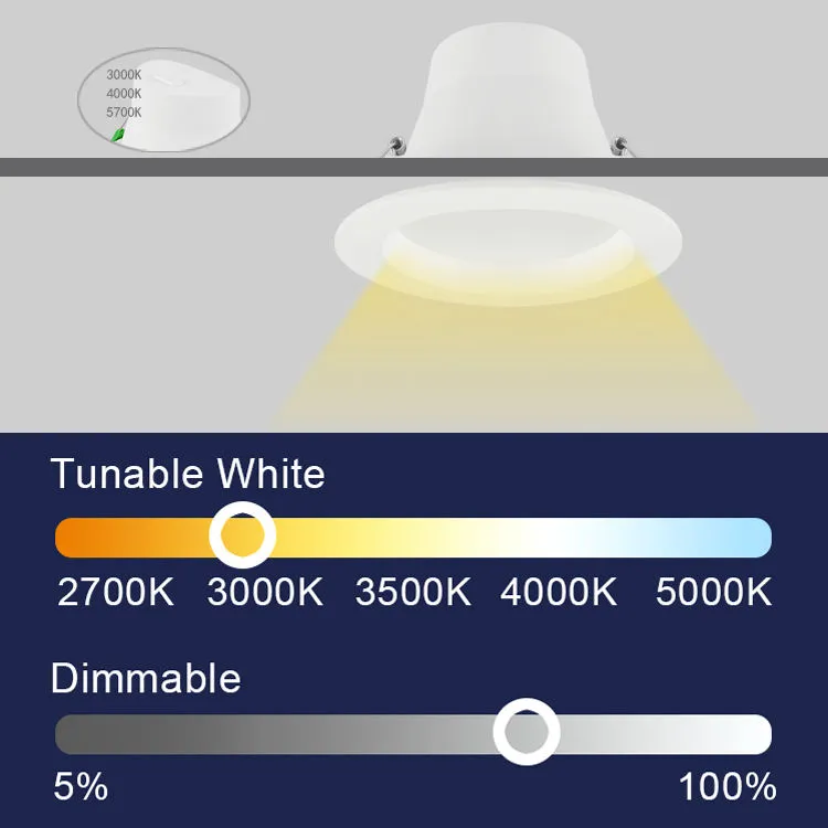 Standard LED Downlight 2