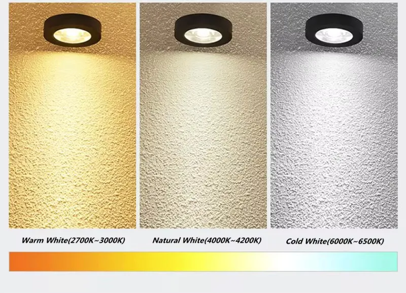 LED Downlight View 10
