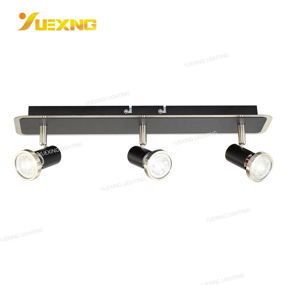 Rotating Industrial Wall Lights Down Light Warm White Black Iron Custom Design LED Ceiling Lamp Spot Light