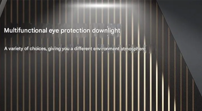 LED Downlight Detail 1