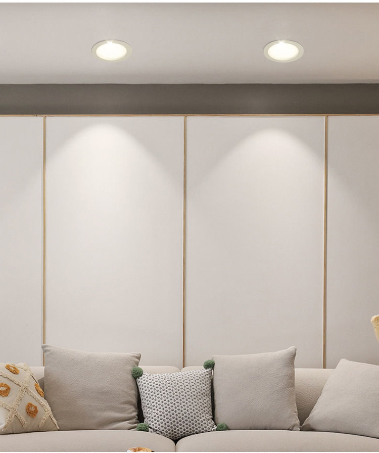 ODM OEM Ultra Thin LED Downlight AC85-265V 8 Inch 30W LED Round Ceiling Light Built-in 3000-3500-4000-6000K LED Down Light