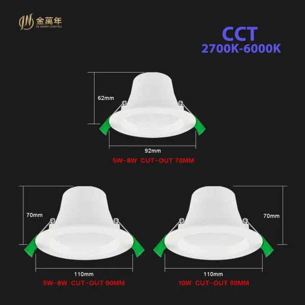 Standard LED Downlight 3