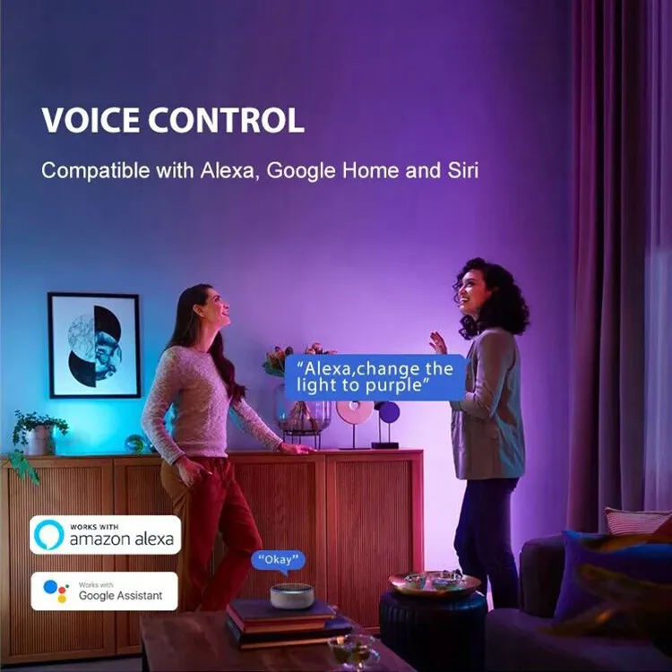 Smart Alexa Control LED Downlight