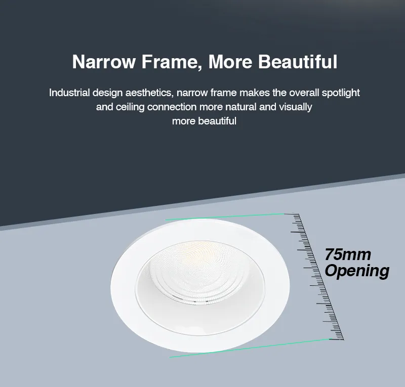 LED Downlight 3