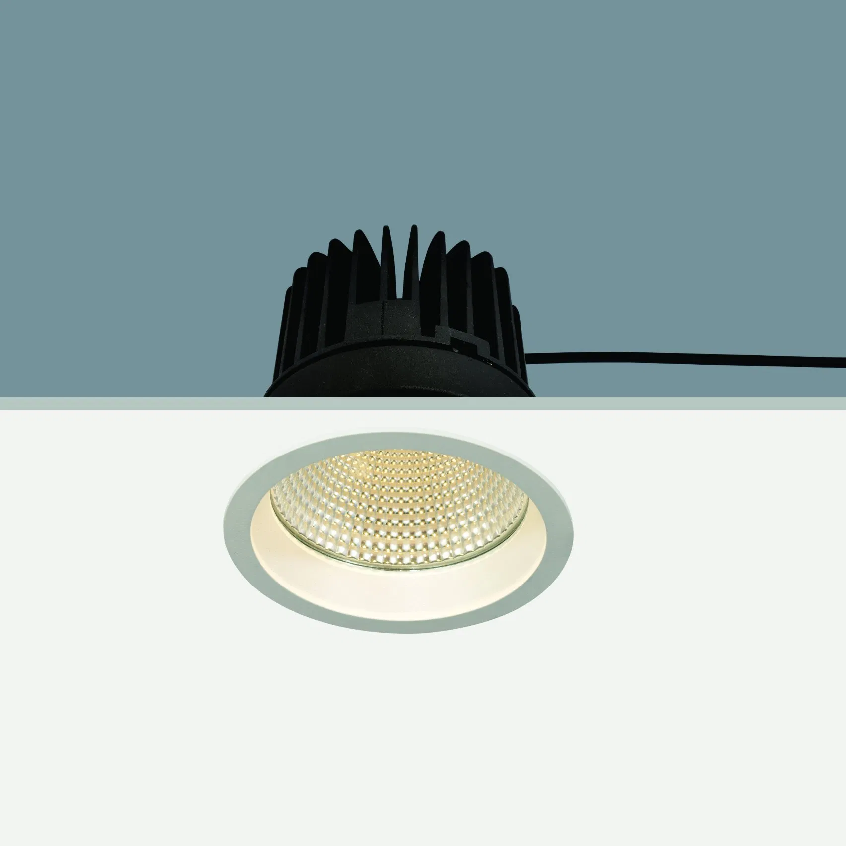LED Down Light High Lumen LED Ceiling Light 30W COB Downlight