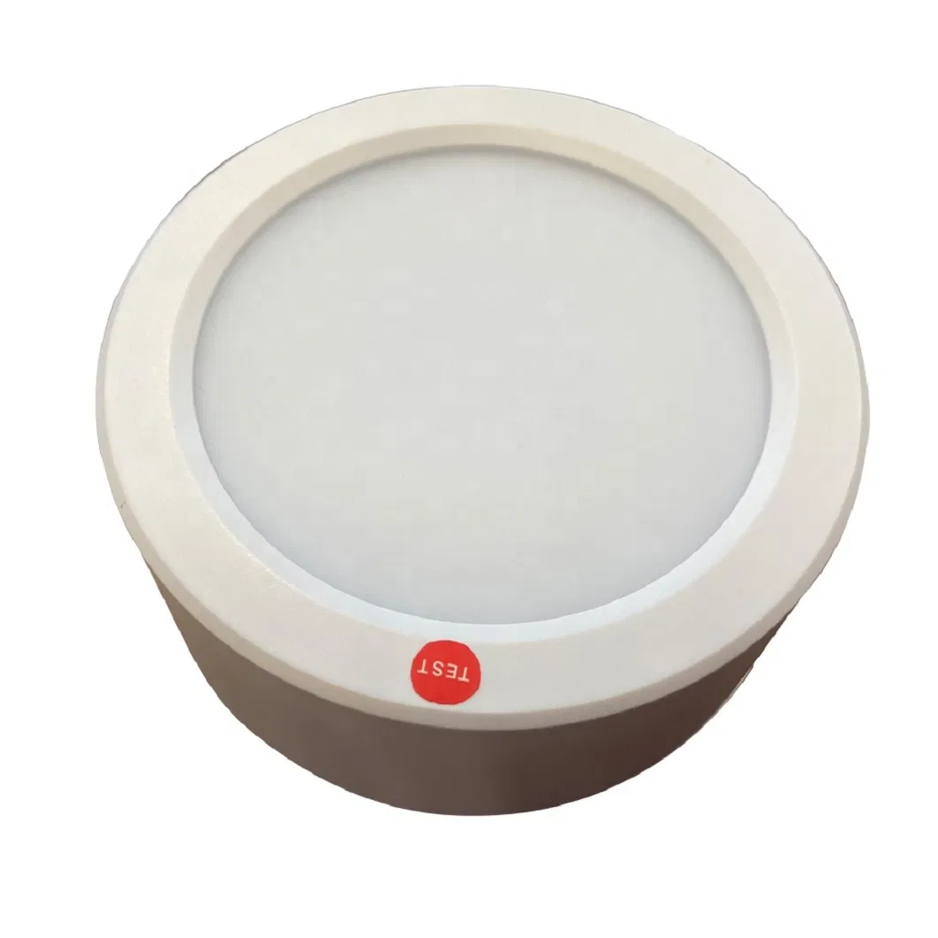LED Emergency Downlight View 1