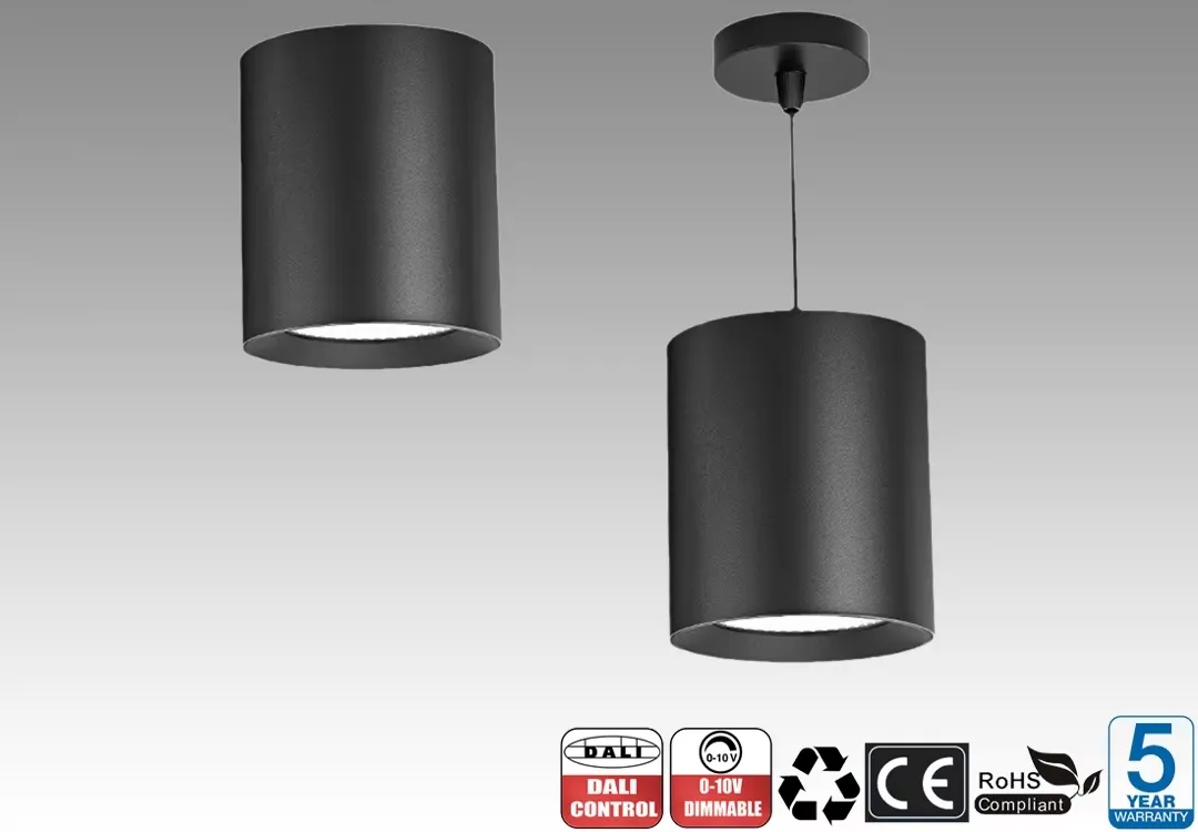 Modern LED Downlight