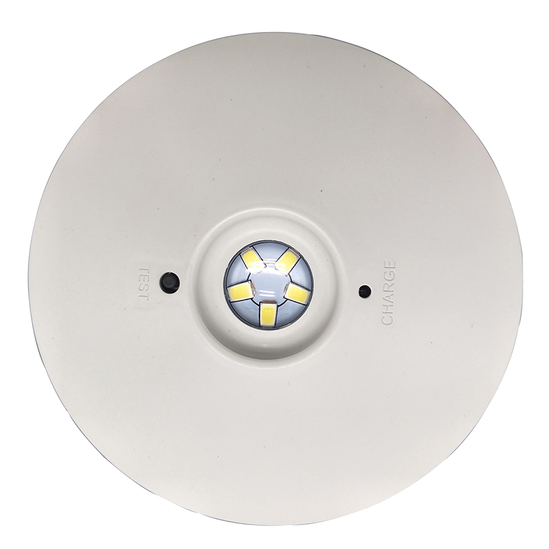 Industrial Commercial Battery Operated LED Downlights LED Emergency Downlight