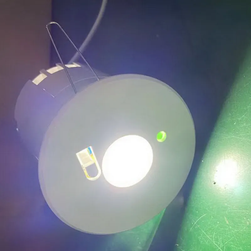 Emergency LED Downlight View
