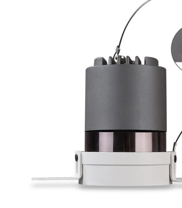 Adjustable Angle LED Recessed Down Light