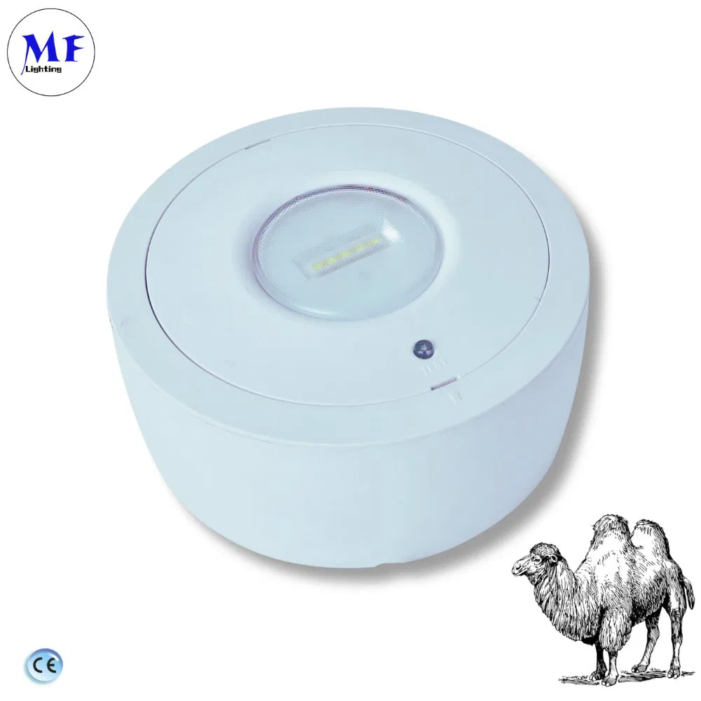 Factory Price LED Emergency Lamp Emergency Downlight with 450lm Lithium Backup Light for Commercial &amp; Residential Safety Application