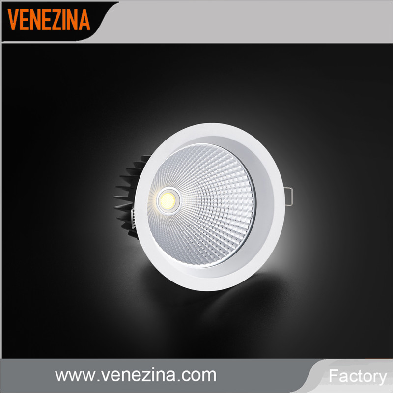 Aluminum 25W Warm White High Efficiency LED COB Spot Light Downlight