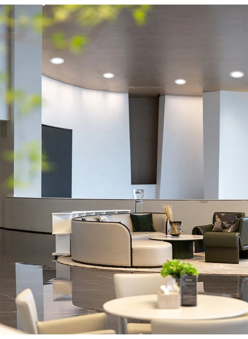 Emergency Downlight Construction