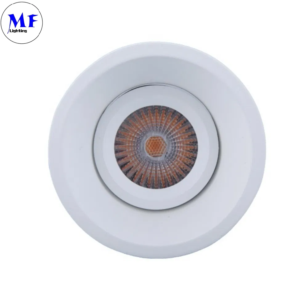 Industrial Commercial White Black Recessed 10W 12W 15W 20W 30W 40W Ceiling LED Spot Down Light for Fitness Center Museum Retail Store