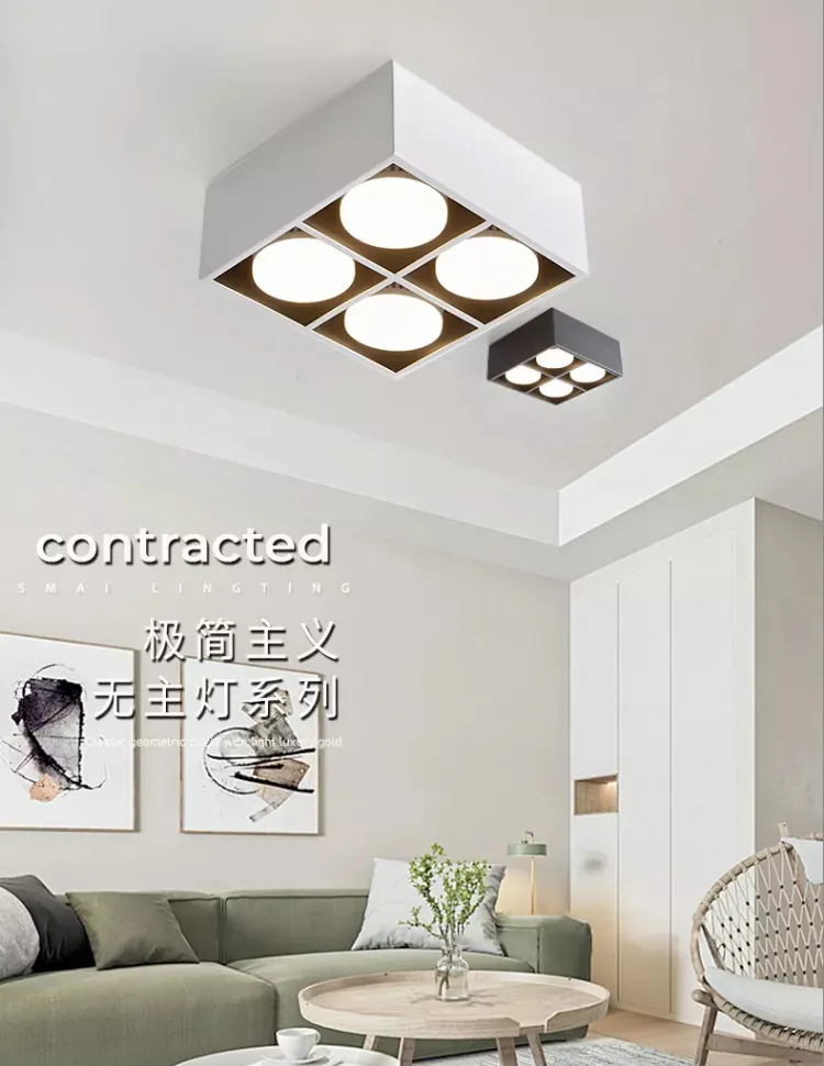 LED Downlight View 1