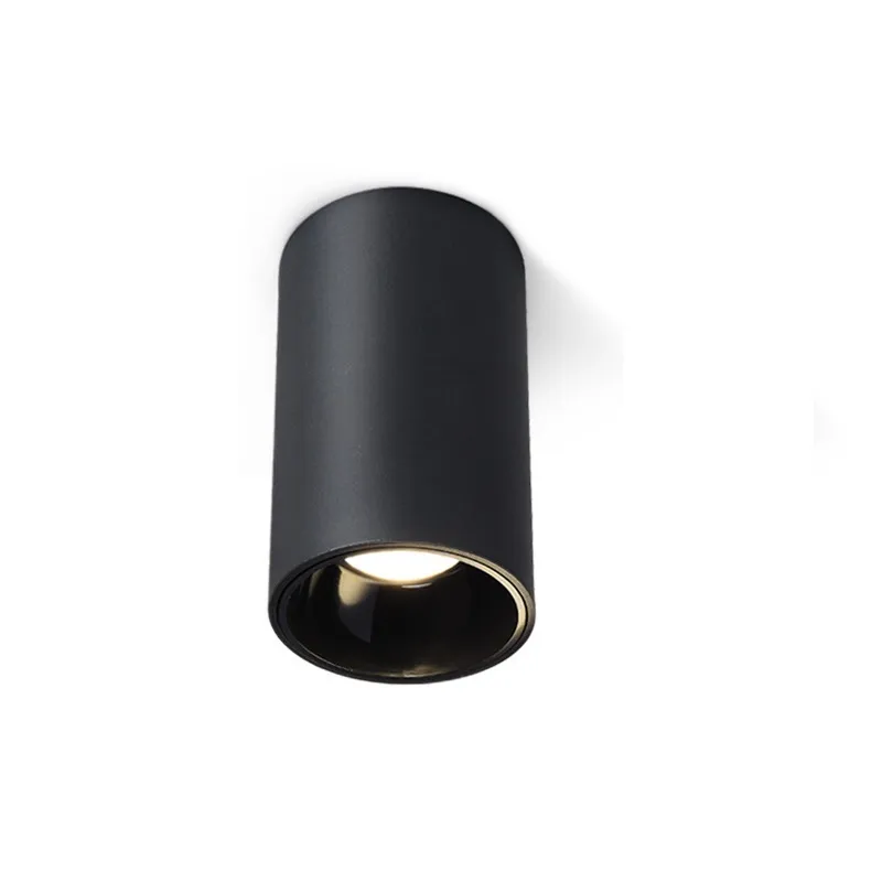 Surface Mounted Light Detail 1