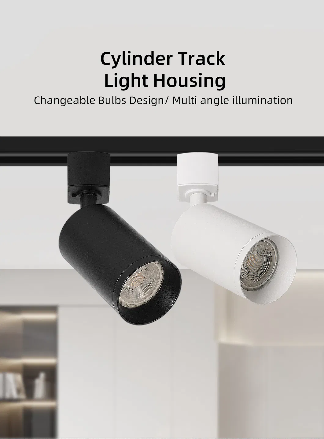 Track Light Detail 1