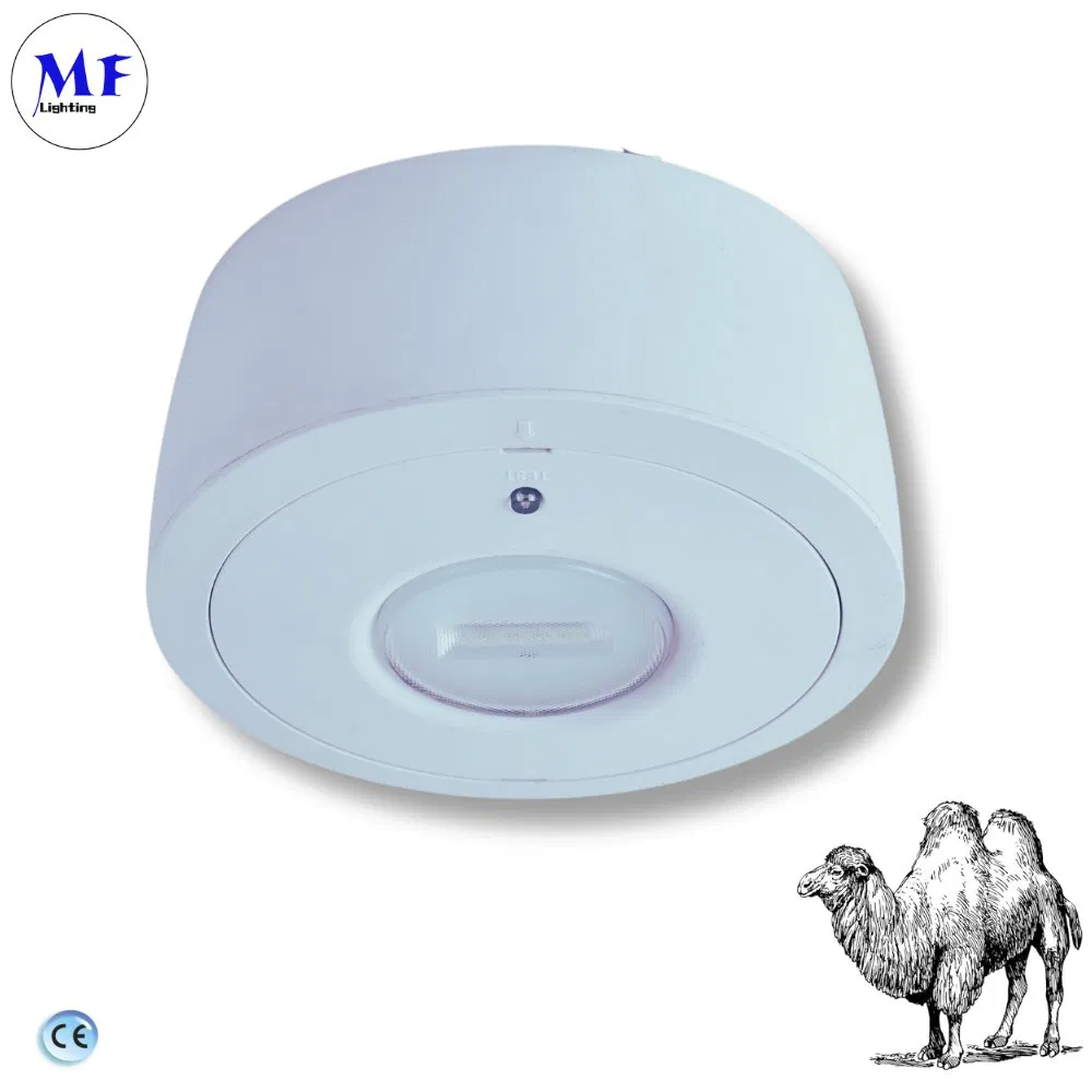 Factory Price LED Emergency Lamp Emergency Downlight with 450lm Lithium Backup Light for Commercial &amp; Residential Safety Application