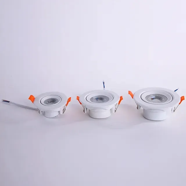 LED Downlight Detail 1