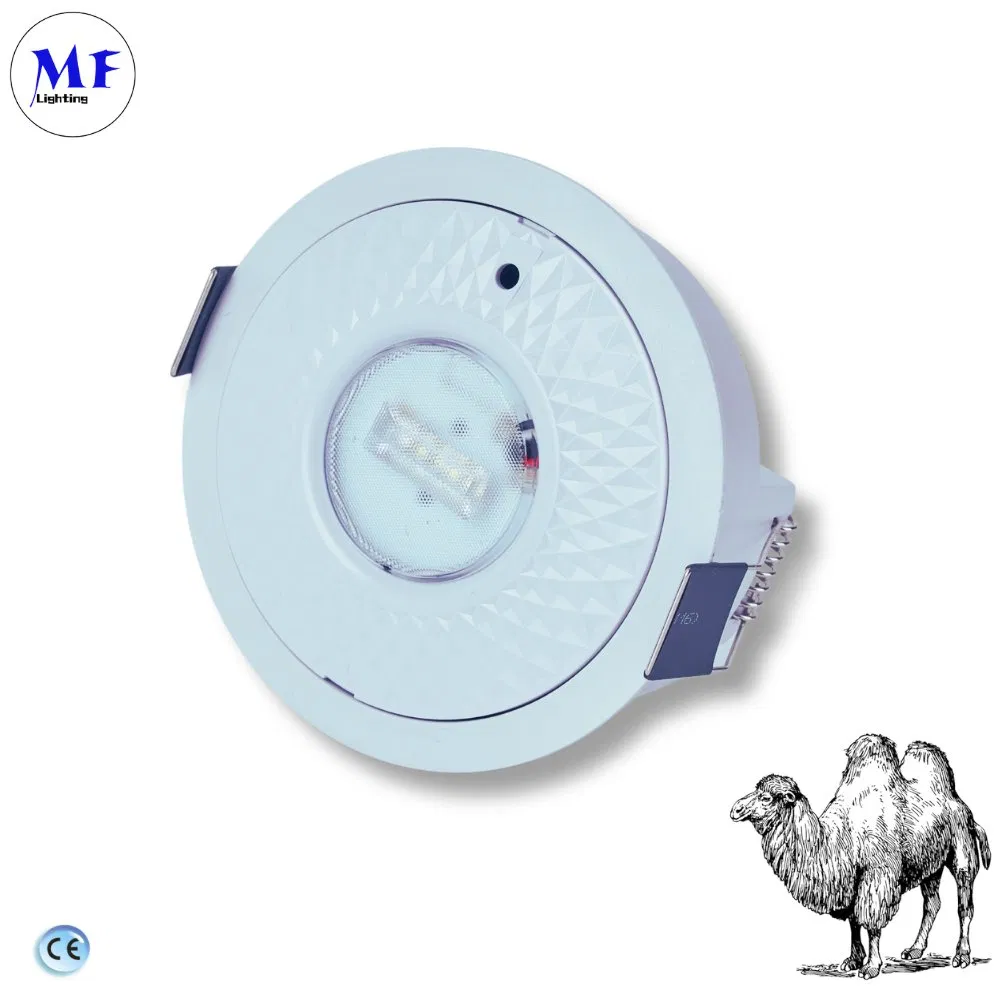 Factory Price LED Emergency Lamp Emergency Downlight with 450lm Lithium Backup Light for Commercial &amp; Residential Safety Application