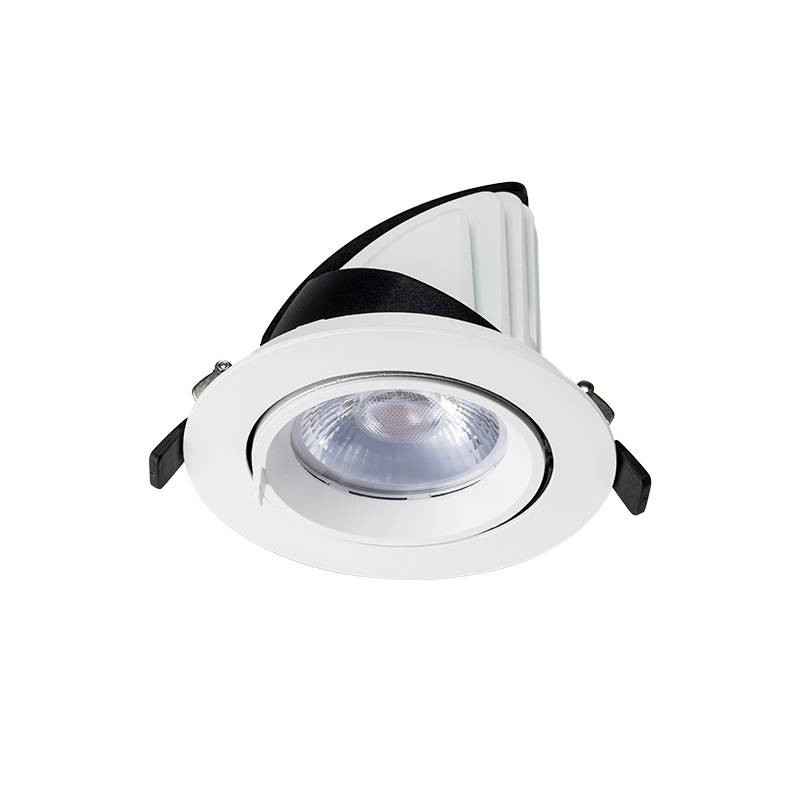 COB LED Gimbal Adjustable Recessed Downlight Warm White 20W 25W 30W 35W Trunk Light for Retail/Shop Aluminum Body with IP44 Rating