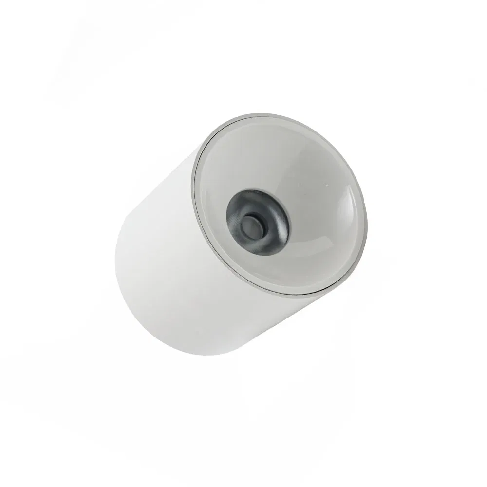 Minimalist LED Surface-Mounted Anti-Glare Round Downlight 12W CREE Chip LED Ra>95, Aluminum Body, Beam Angle 36° D80mm*H85mm
