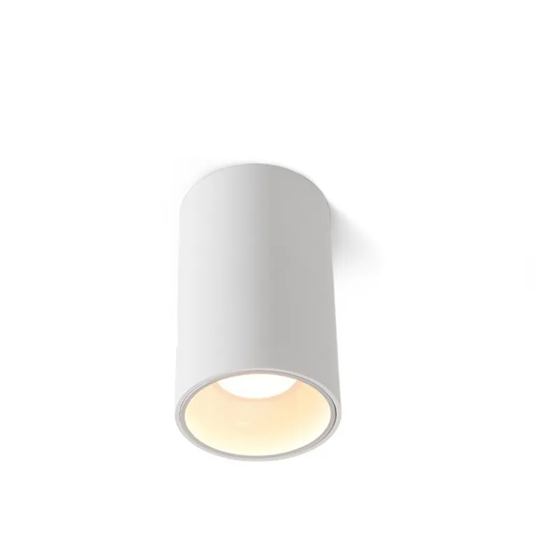 Surface Mounted Light Detail 2