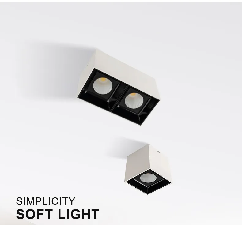 LED Downlight Detail