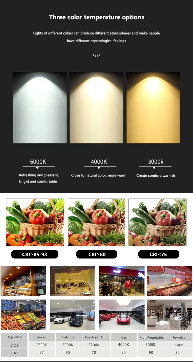 Specifications Detail