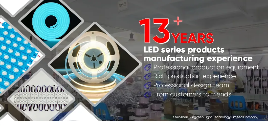 LED Downlight Overview