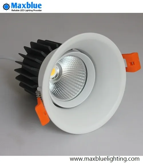 LED Downlight View 2