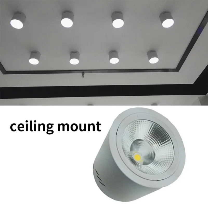 LED Downlight Detail