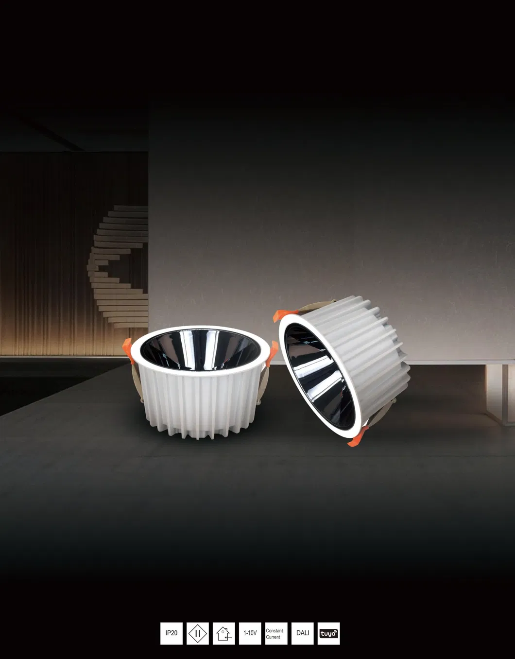 CCT Adjustable Light