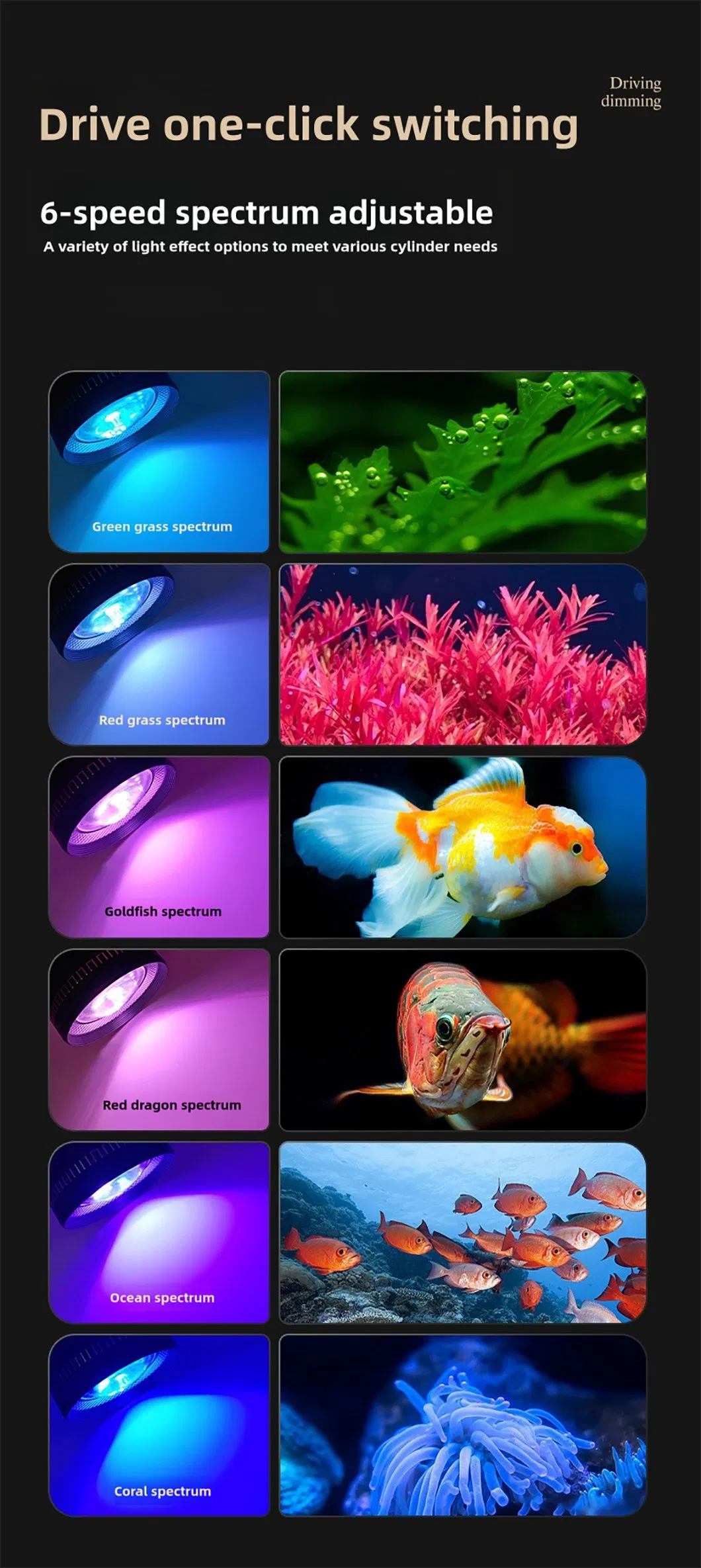 Aquarium Downlights 4