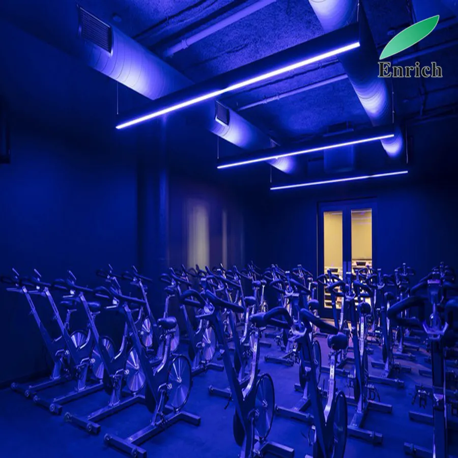 up/Down Lighting RGB Color Changing LED Pendant Light for Gym Lighting