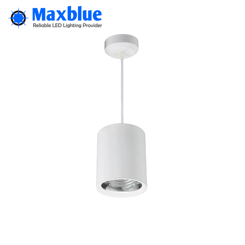 10~40W Surface Mounted LED Ceiling Downlight with 3-Year Warranty