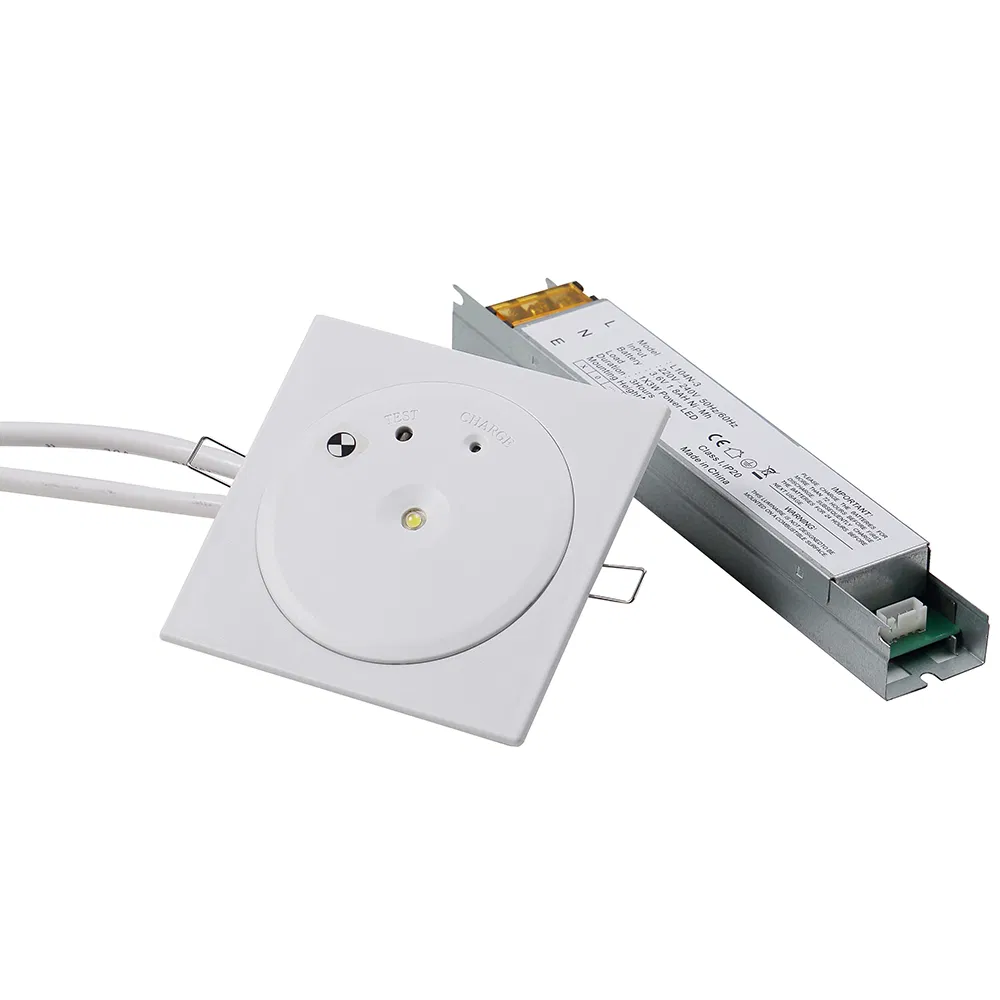 High Quality Rechargeable Recessed Downlight LED Panel Light Emergency