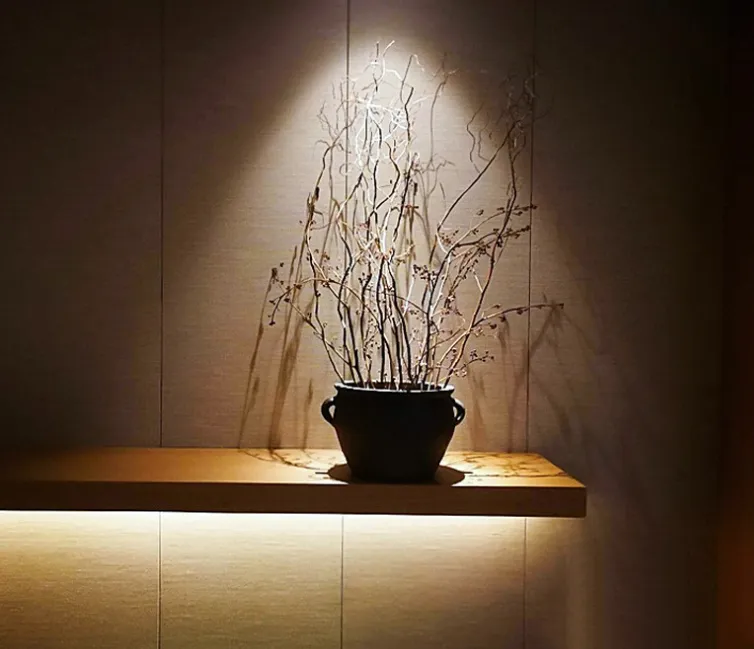 LED Recessed Down Light Detail 1