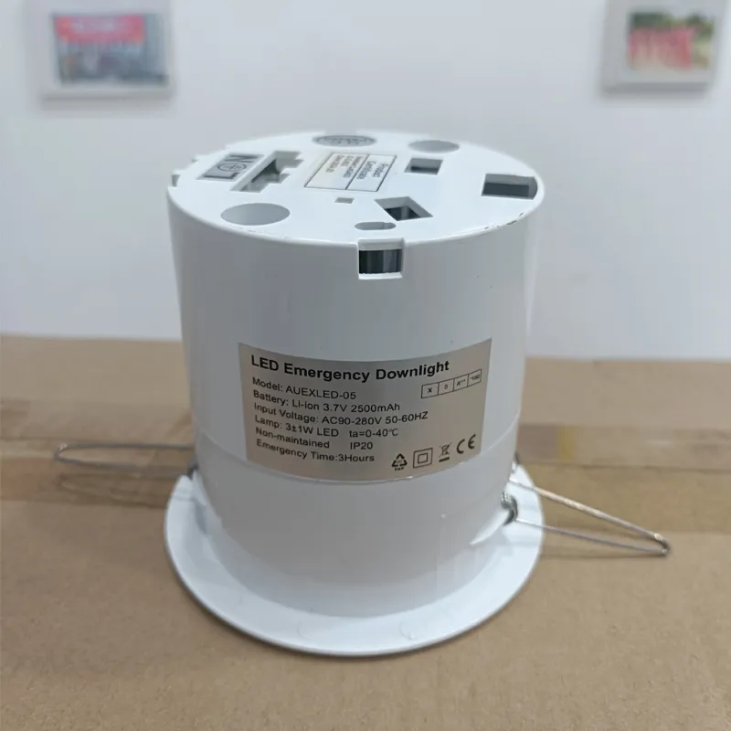 LED Emergency Downlight Back