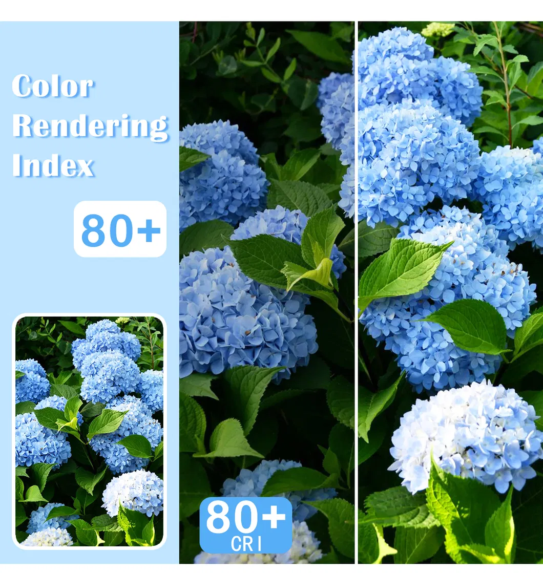 Living Room Lighting