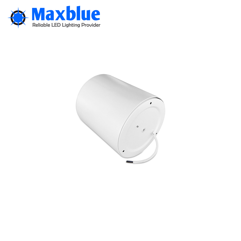 10~40W Surface Mounted LED Ceiling Downlight with 3-Year Warranty