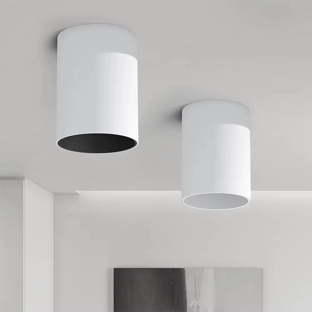 LED Downlight View 2