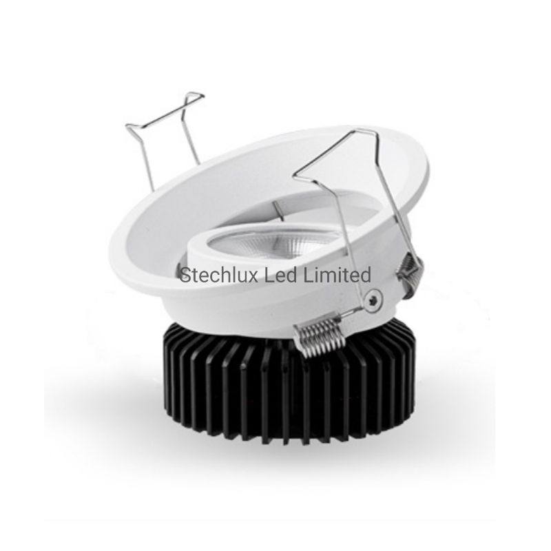 Downlight LED 12 Watt and Adjustable Beam Angle Light with LED Recessed Downlight