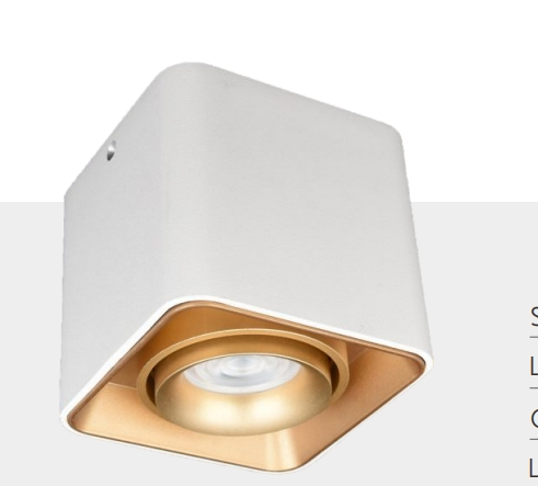 Surface Mounted Fixture Downlight COB LED Module Housing Modern Home Office Hotel Apartment Project Light